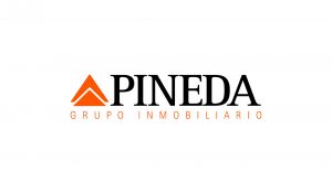Grupo Pineda